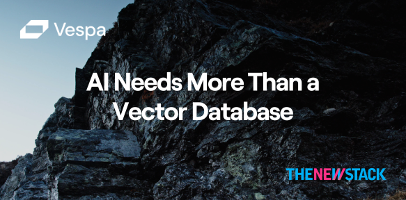 AI Needs More Than a Vector Database