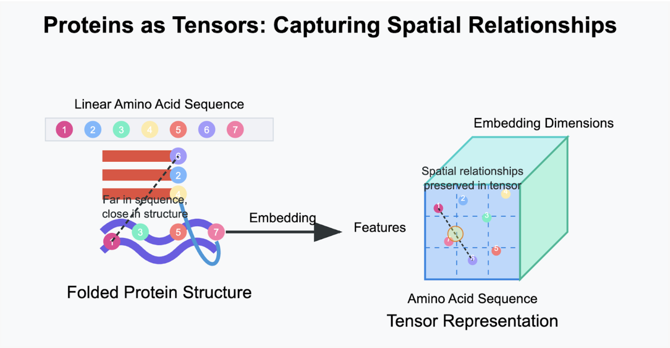proteins as tensors