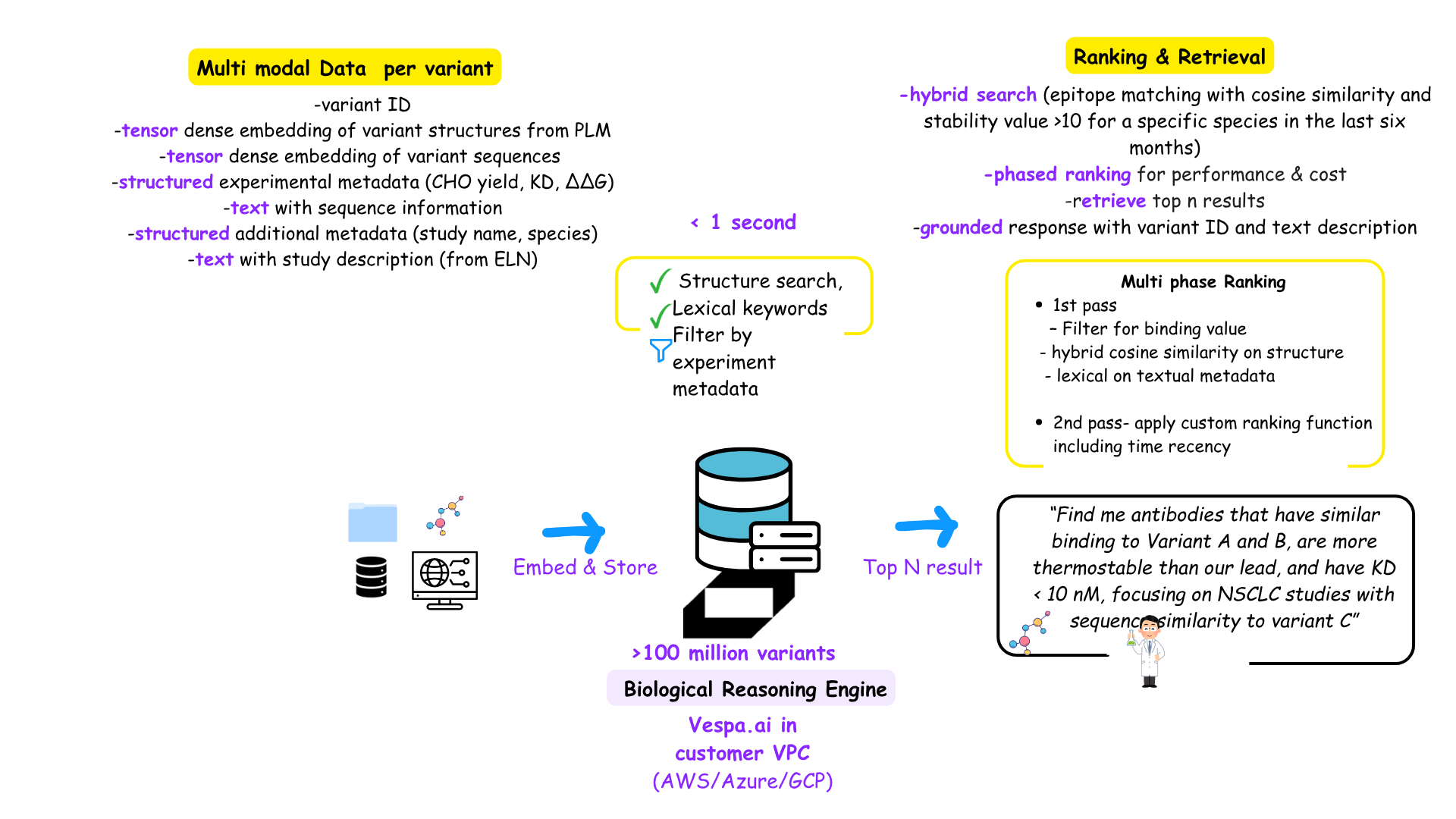Multi modal data definition bringing multiple tensors and metadata per variant and hybrid ranking