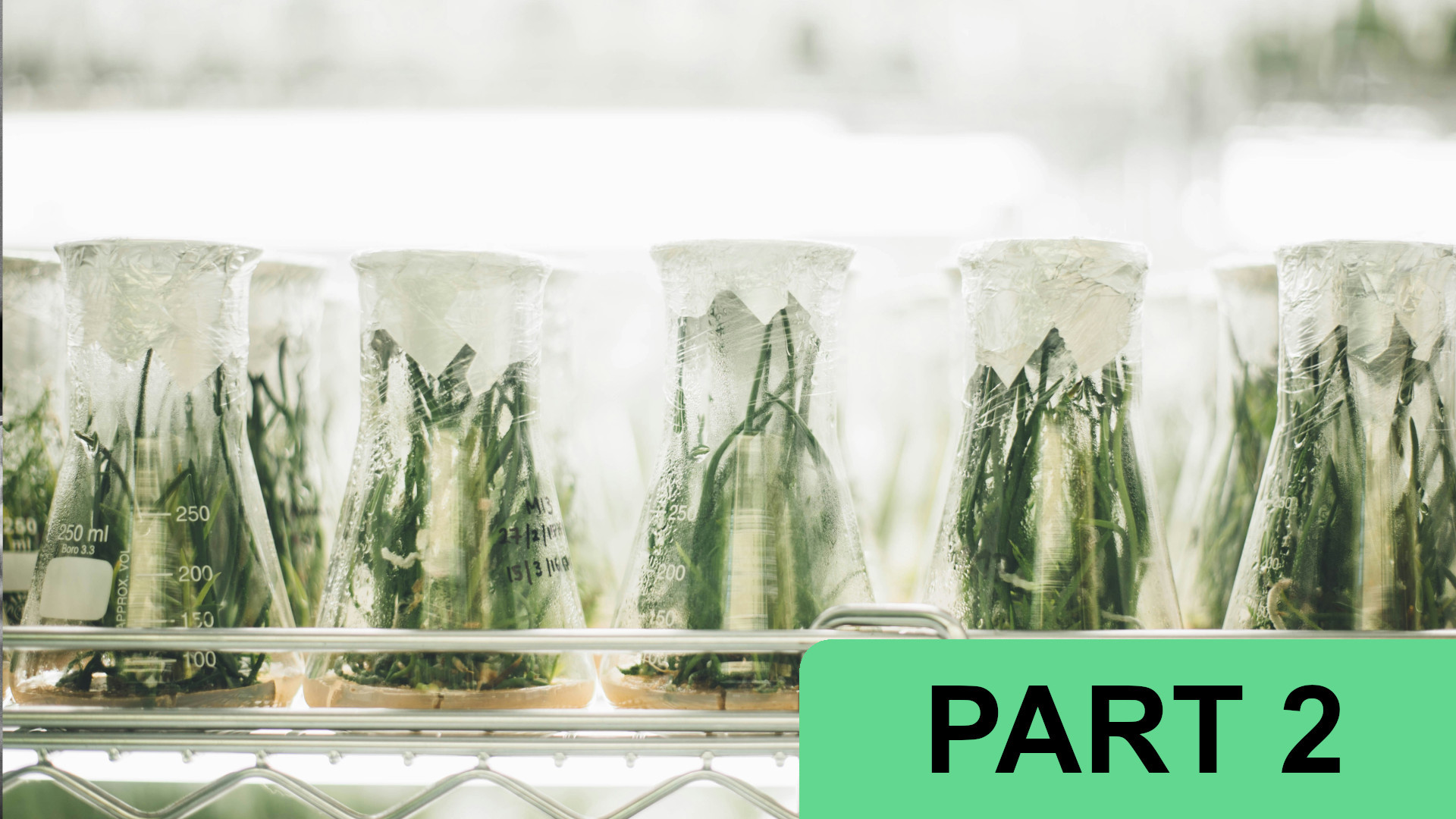 Why Life Sciences AI Is a Search Problem (Part 2 of 5)