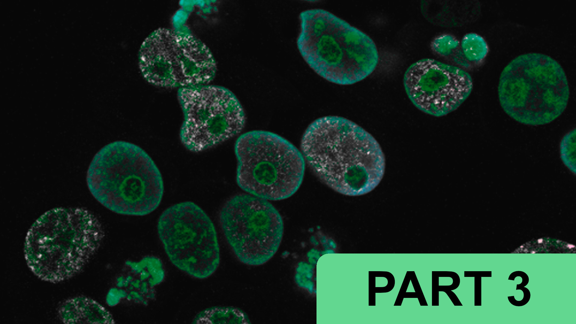 Why Life Sciences AI Is a Search Problem (Part 3 of 5)