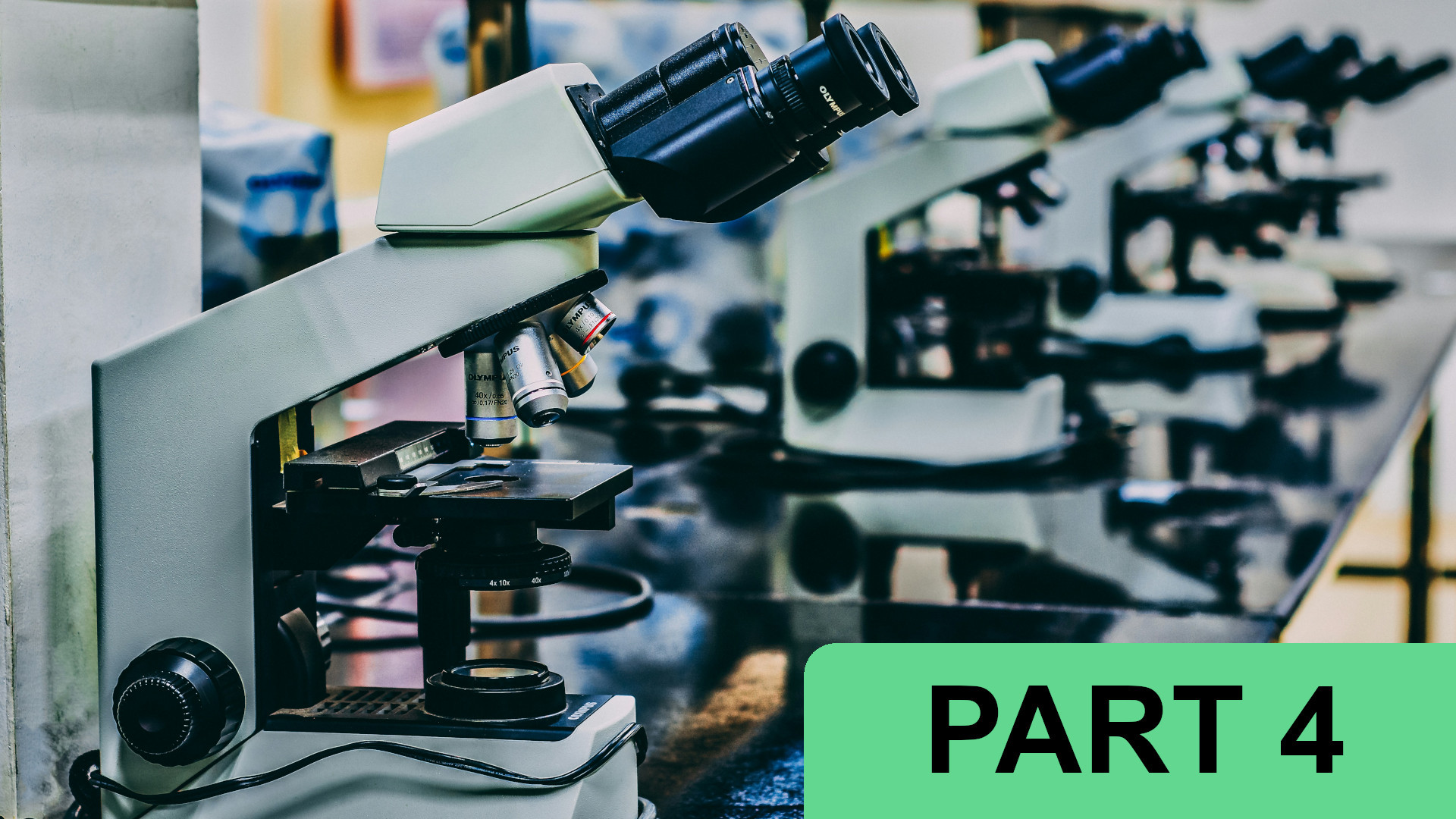 Why Life Sciences AI Is a Search Problem (Part 4 of 5)